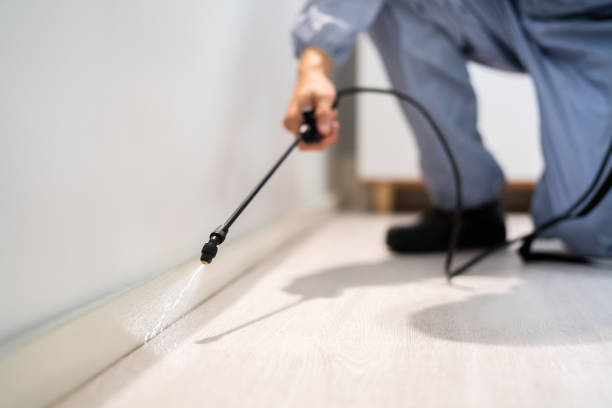 Licensed Mosquito Control service in Coeur d'Alene, ID - Show Me Pest Control