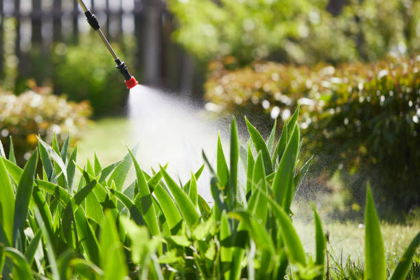 24/7 Emergency Mosquito Control experts in Coeur d'Alene, ID